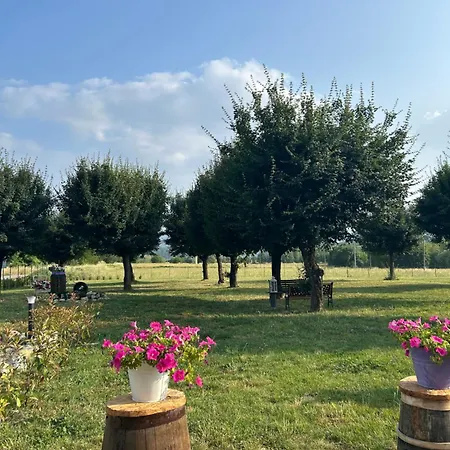 Castrum Gallani ברברינו די מוג'לו